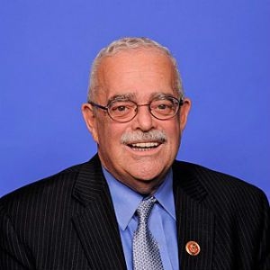 US Congressman Decries “Elections Being Stolen In Nigeria”