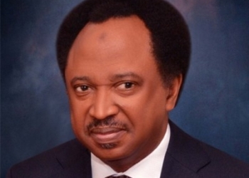 Take Proactive Measures To Address Security Challenges – Sani Tells Government