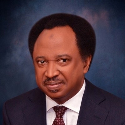 Take Proactive Measures To Address Security Challenges – Sani Tells Government
