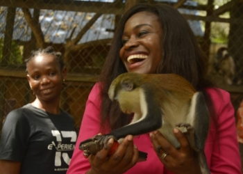 Nnimmo Bassey, Calls For Urgent Need To Preserve The Biodiversity