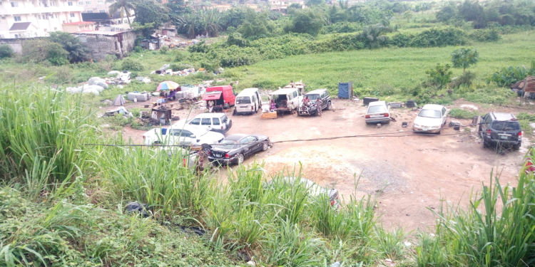 Wetlands Under Threat – LASPARK GM