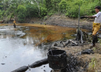 International CSO Groups Urge Ecuador To Appeal Judgment In Support of Chevron’s Oil Pollution