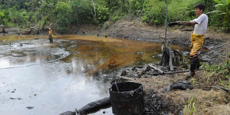 International CSO Groups Urge Ecuador To Appeal Judgment In Support of Chevron’s Oil Pollution