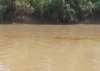 ERA/FoEN Confirms Fresh Oil spill from Agip’s Ogboinbiri Well 7 in Bayelsa