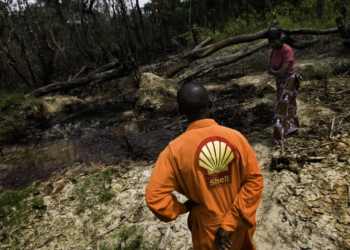Shell Nigeria Responsible for Oil Spills In Niger Delta – Report