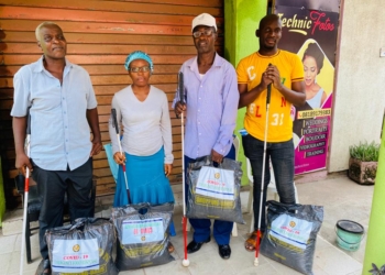 Group Advocates for Recruitment of PWDs in Formal Employment