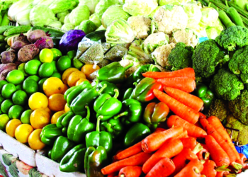 Food Blockage to SW: Prepare Youths to Venture into Agriculture, CEO tells SW governors