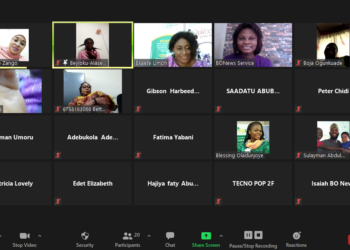 Screenshot of participants at the online meeting