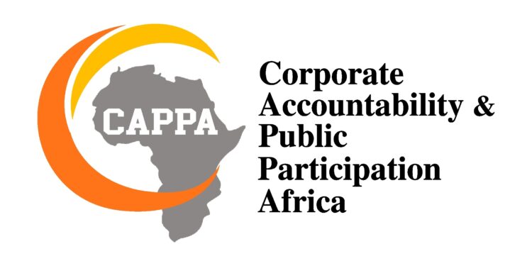 An image of Corporate Accountability and Public Participation Africa
