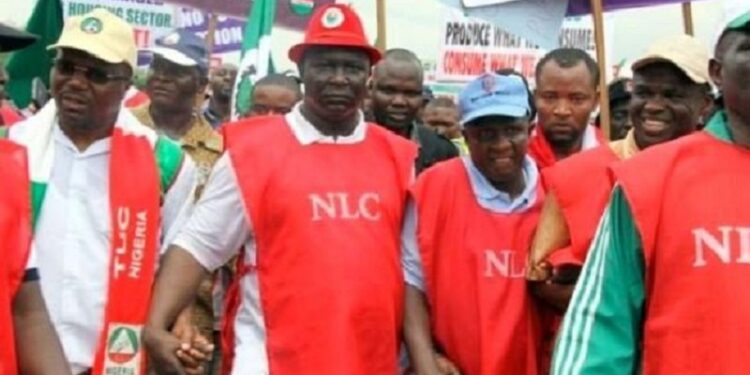 NLC Tasks Trade unions on budget provisions for workers’ Organizing