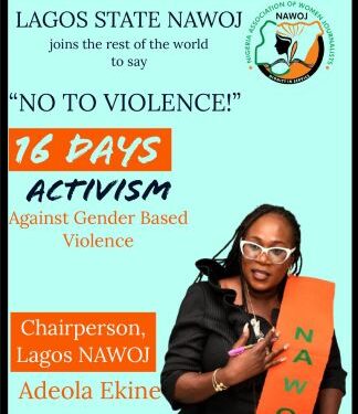 NAWOJ Lagos Calls for Eradication of Violence Against Women and Girls