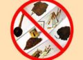 An Image condemning tobacco