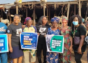 NGO Coalition Wants NASS to Review Outstanding Gender Bills