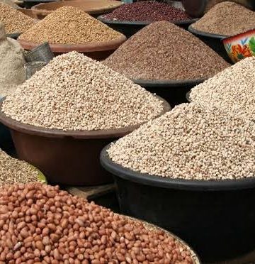 An image of a rice grain, beans grain, groundnuts in a plastic basin on a table outdoor. In one of the plastic containers is a tin container for measuring.