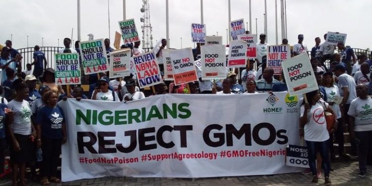 Groups Task Senate to Convene Public Hearing on the Review of GMO Act
