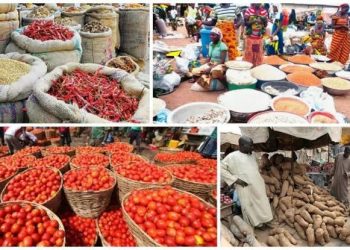 ActionAid Calls for Social Protection Measures following Hike in Food, Fuel Prices