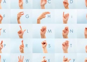 Sign Language Day – CCD Tasks FG, Disability Commission, INEC on Inclusion of Deaf Persons in Governance