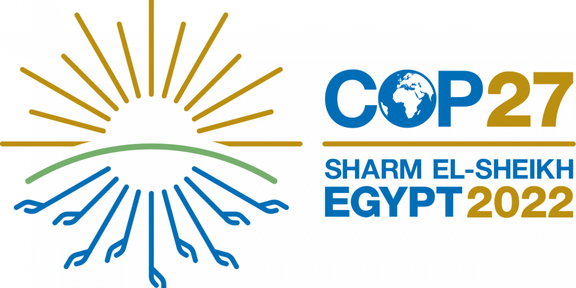 COP27: Activists Reject New Africa’s Carbon Markets Initiative