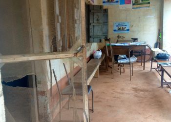 Inside Ogun Rural Communities Where Continuous Neglect of PHCs Leaves Women at Risk