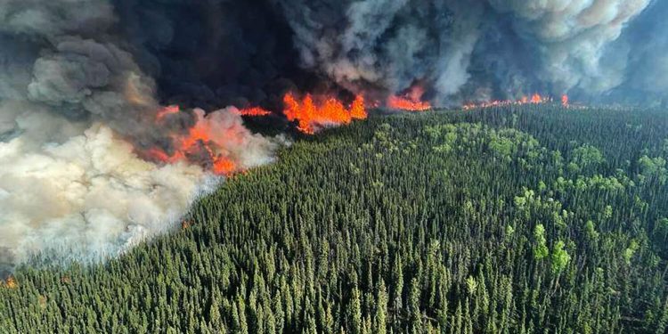 Fact-check: Yes, Canada Wildfire is Related to Climate Change