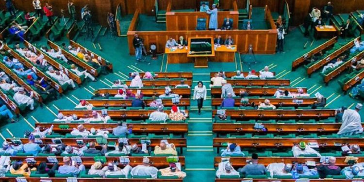 After BONews Story, Reps Moves To Investigate Unethical Surrogacy Practices In Nigerian Hospitals
