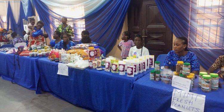 ‘Blindness Doesn’t Affect Creativity, Productivity’ Says Ogunsanya As Blind Women Exhibit Products, Call for Patronage