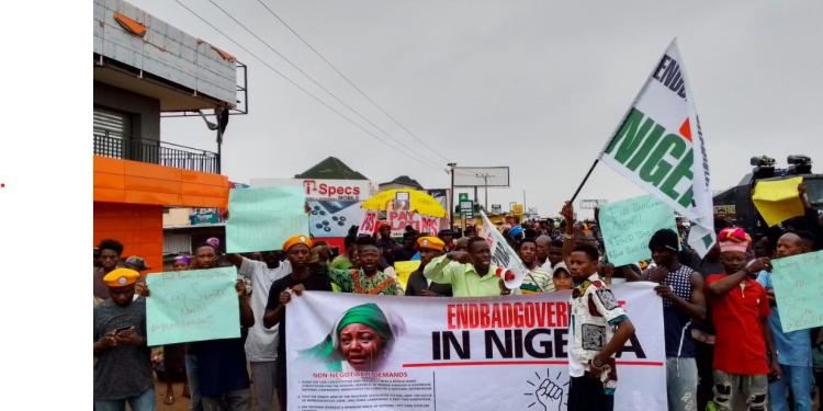 Many people standing outdoor holding placards in their hands