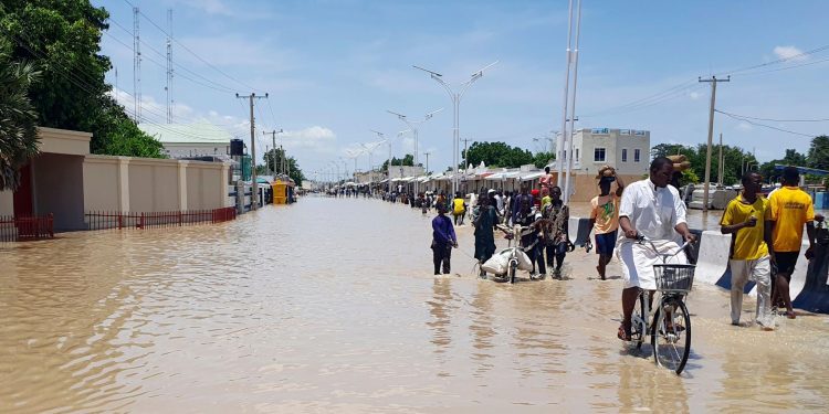 Maiduguri Dam Collapse Shows Disconnect Among Emergency Response Agencies – RDI