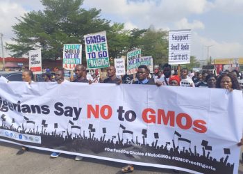 HOMEF leads campaign against genetically modified foods in Edo
