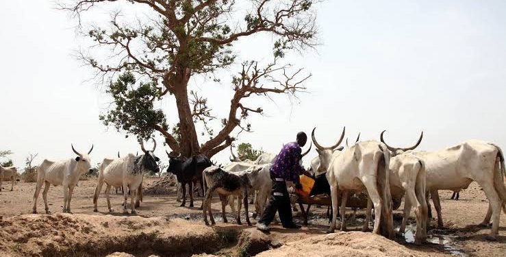 Climate, Resources, and Conflict: Understanding the Perfect Storm Threatening Global Stability