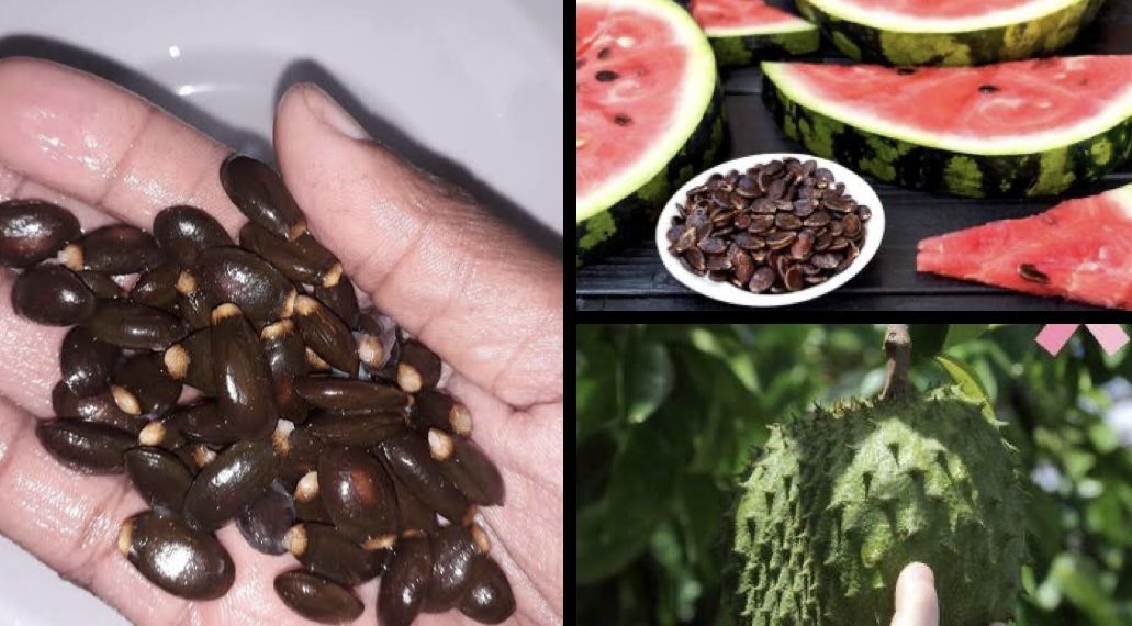 Fact-Check: Can Soursop and Watermelon Seeds Cure Tumour, Cancer?