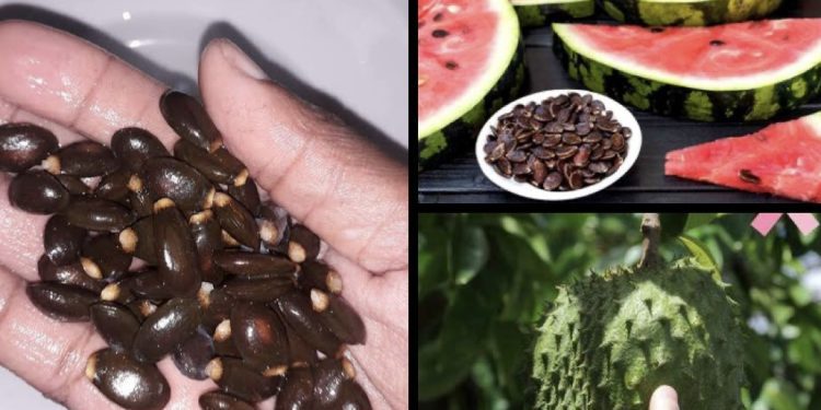 Fact-Check: Can Soursop and Watermelon Seeds Cure Tumour, Cancer?