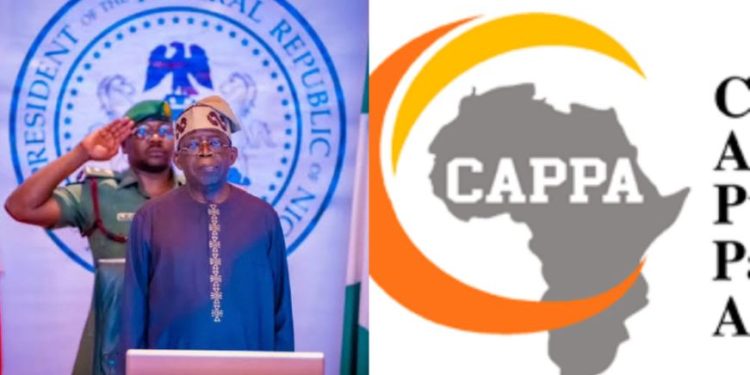 Two male and a graphic of CAPPA and map of Africa