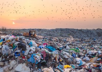 World Environment Day 2025: CEMESO Calls for Urgent Action on Plastic Pollution in Nigeria