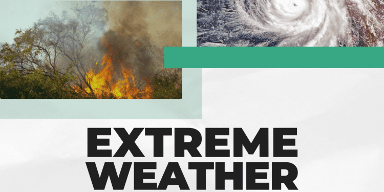 Meta, X, YouTube Actively Enabling, Profiting From Climate Disinformation – CCDH