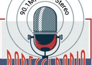 A microphone graphic image with Badeggi-Radio 90.1MHZ FM Stereo written around it