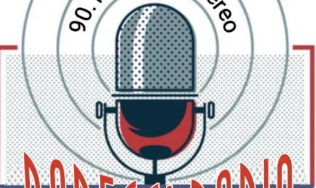 A microphone graphic image with Badeggi-Radio 90.1MHZ FM Stereo written around it