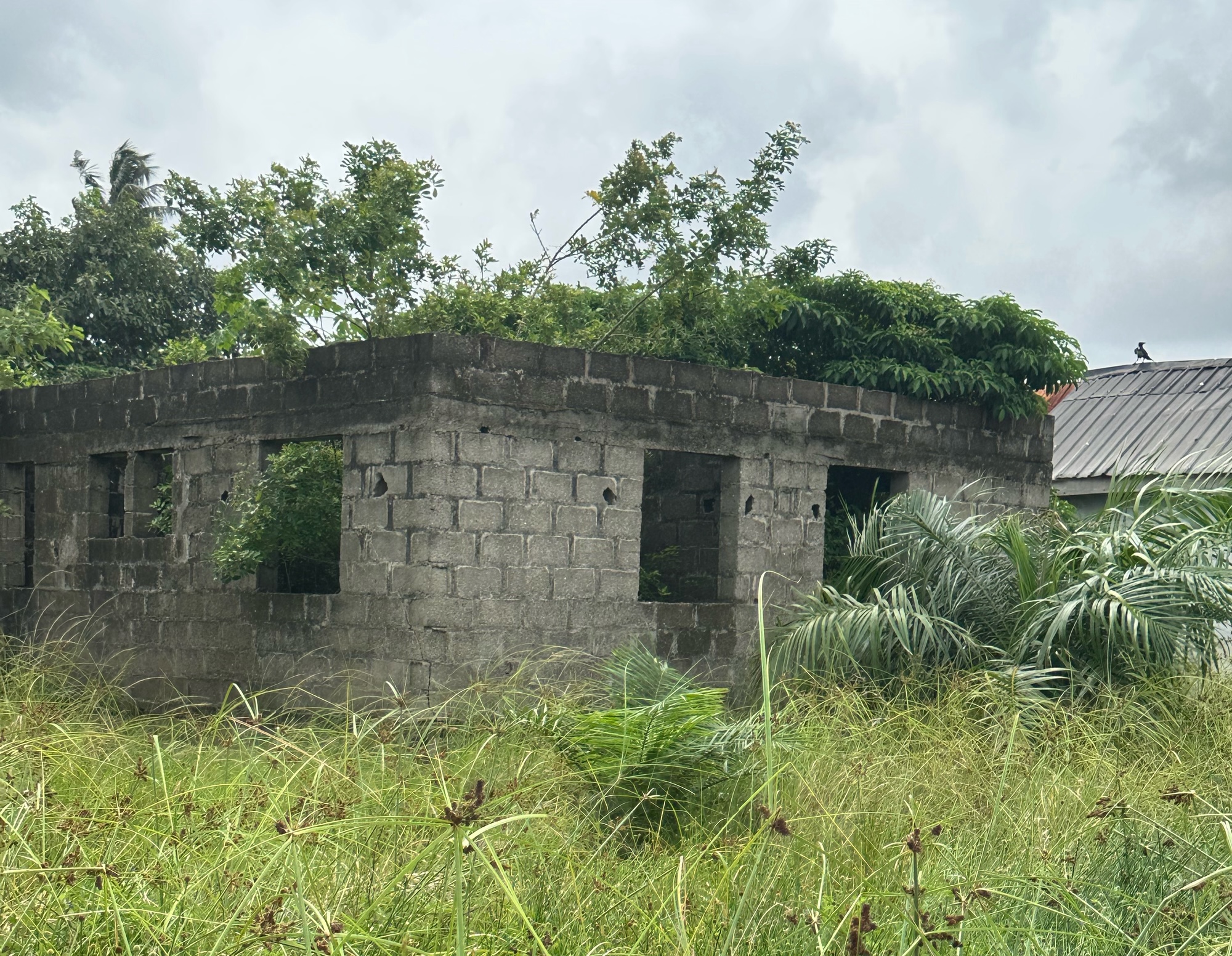 A building without roof and windows. There are bushes and trees around the house. The house looks abandoned.