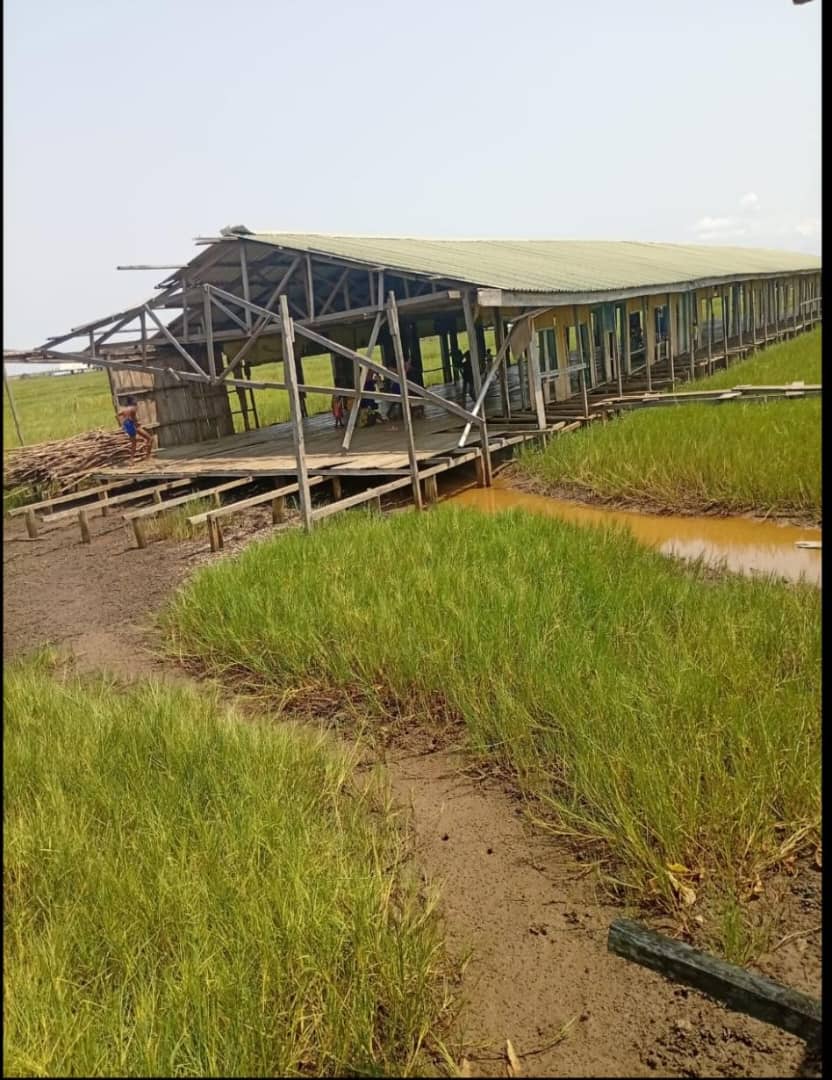 Local Authority Primary School, Obe-Dapo, Ilaje Local Government, Ondo State. Photo by Olufisoye Adenitan.
